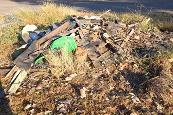 Professional Junk Hauling Services